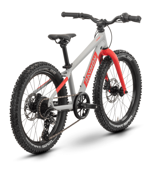 Raymon Yanga 20 Pro