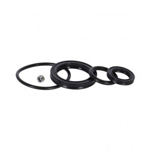 Oil Seal Kit SR Suntour RS für RS19 Edge LO-R/RL-R/RC