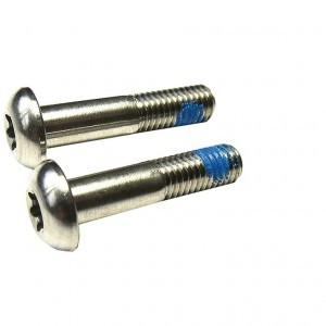 Schrauben SRAM f.Scheibenbremsadapt.FMC T25, 22mm, Titanium, 2 Stück