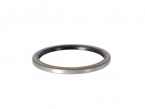 DICHTUNG DT NABE / FREILAUF HR NABE (Ø30X36X2.5MM)