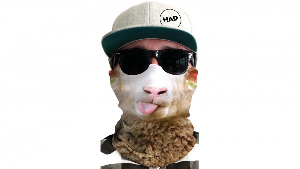 H.A.D. HALSTUCH HAD ORIGINAL SHEEP