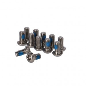SchraubenKit SRAM für Bremsscheibe T25, Titan, silber, 12 Stück