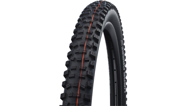 SCHWALBE REIFEN HANS DAMP 60-584 B/B EVO STRAIL FAL
