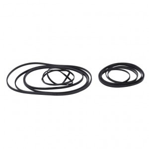 Kassettenritzel-Ring Set SRAM f. XG-1290Red, 10-28Z. , m. Dämpferringe