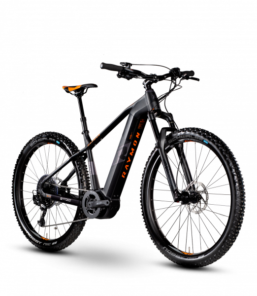 Raymon E-NineRay LTD 2.0 Unisex - 29"