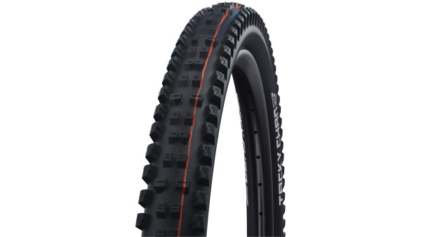 SCHWALBE REIFEN TACKYCHAN 62-622 B/B EVO STRAIL SOF