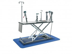 Fahrradhebebühne Agilis Power Full Optional, 10275