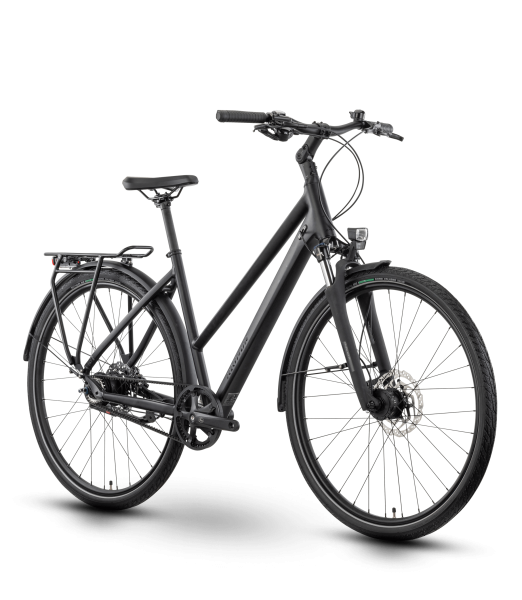 Raymon Zayn Ultra Trapeze