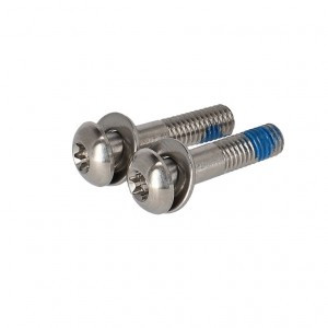 Schrauben SRAM f.Scheibenbremsadapt.FMC T25, 22mm, Edelstahl, 2 Stück