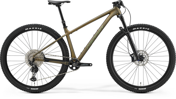 MERIDA BIG.NINE TR LIMITED III1