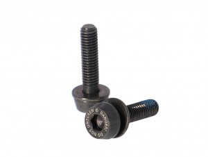 Campagnolo BEF.-SCHRAUBEN CAMPA 19MM F 10-14 MM HINTERBAU 2ER